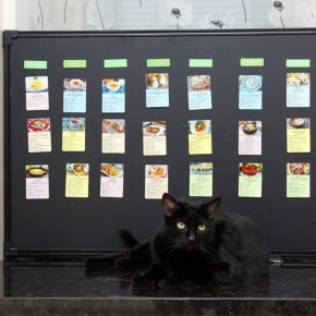 ������� ��� ���, ��� �� ����� ����������� ����