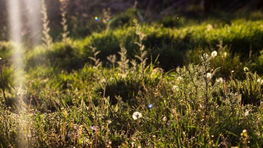 ������������: ��������� ����� � ��������