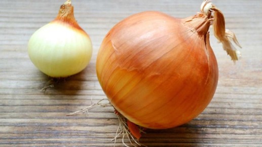 Почему стоит полюбить лук: шесть полезных свойств этого овоща