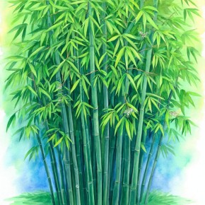 Бамбук: строительство на грани экологического прорыва