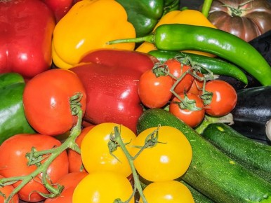 Как превратить кухонные отходы в магическое удобрение для вашего огорода