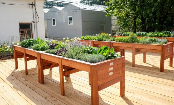 Креативный подход к огороду: как объединить стиль и удобство