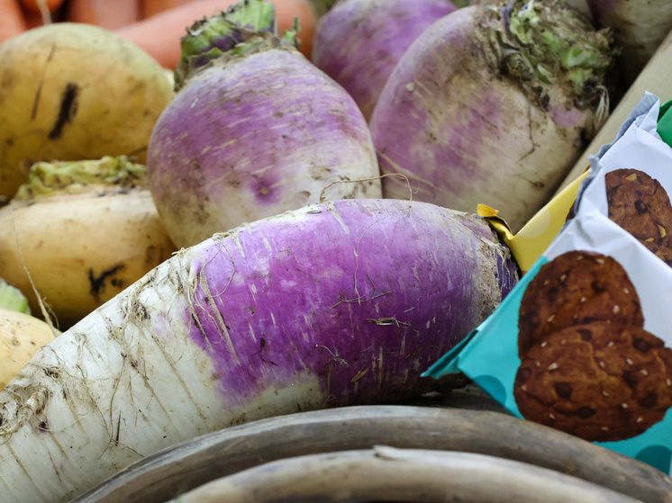 Редька: удивительный корнеплод с множеством возможных сочетаний