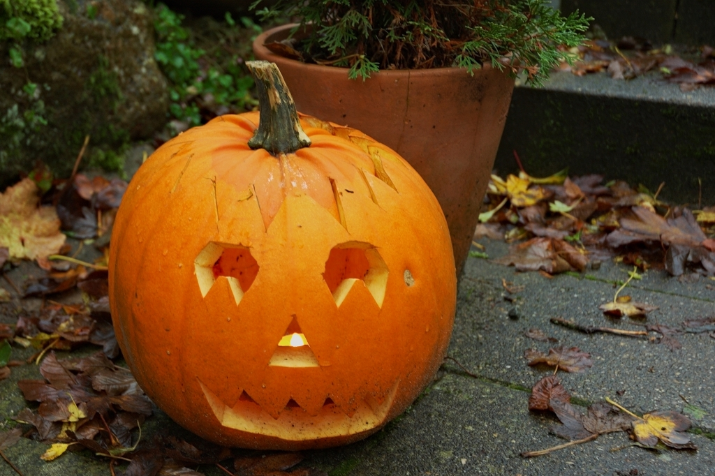 Как создать идеальную тыкву для Хэллоуина: пошаговое руководство