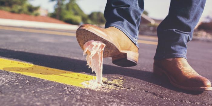 На Камчатке в колбасе нашли ‘мясной клей’: что стоит за тревожными тестами