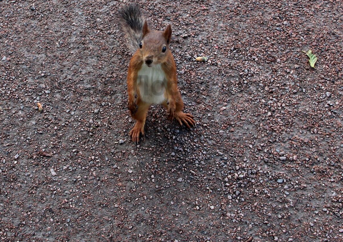 ��� ��������� ������� �����: ������� ������ � ����������� ��������