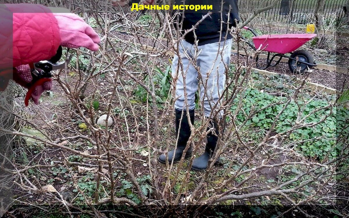 ������� ���������� ������: ������ ������� �� ����� � �����������