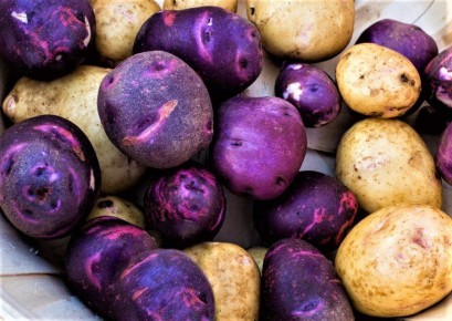 ������� ��������� ������: ��� ������� ������� �� �������