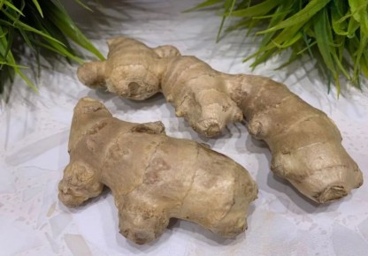 ��� ������� ��������� ������ ������: ������� �������