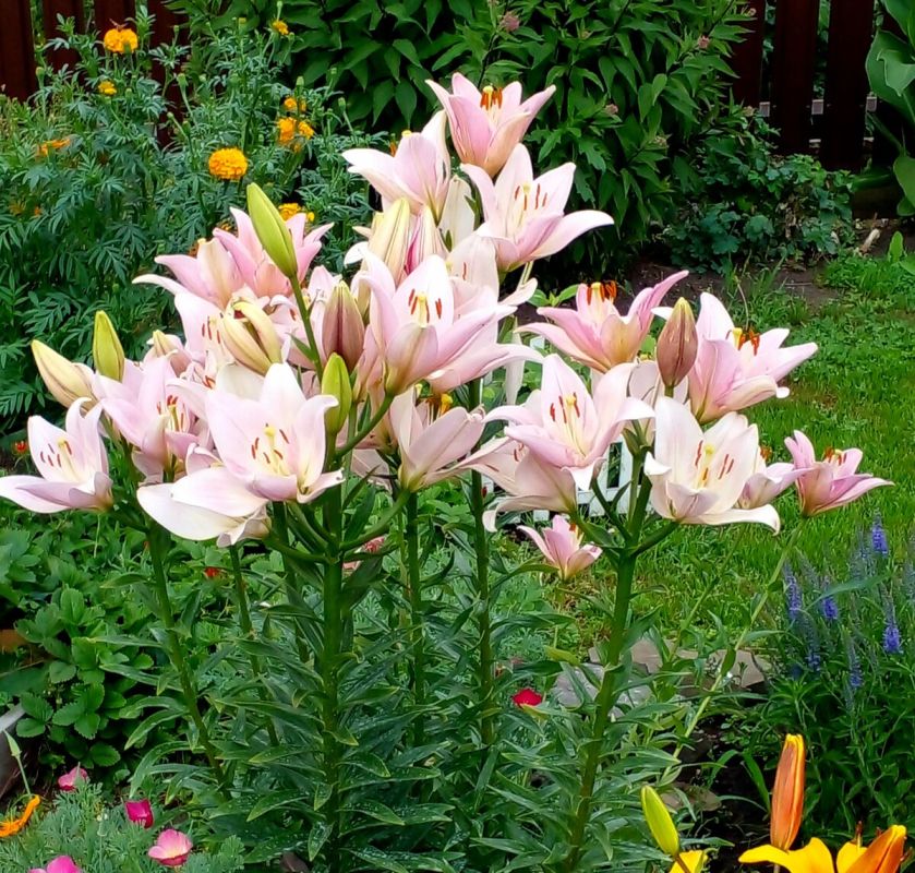 ����� '������': ��� ������ ���� ������� ����