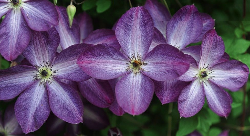 ���������: ���������� ��������������� ������ ��� ������ ����