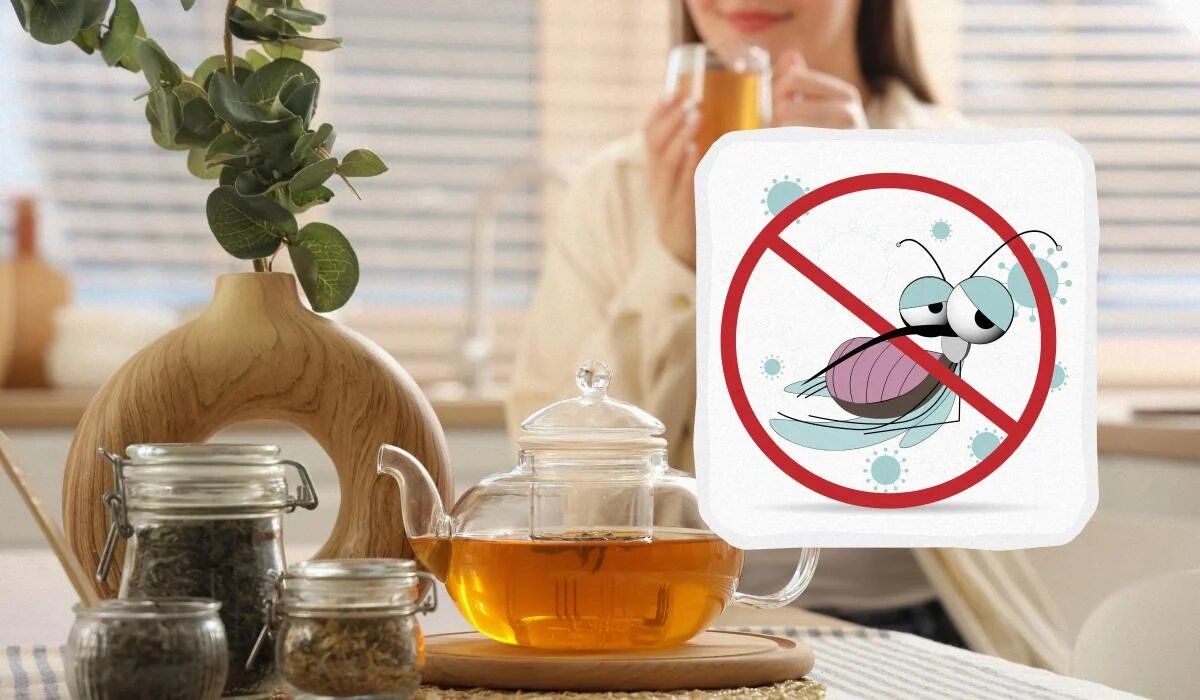 Эвкалипт: природа против насекомых — как изгнать вредителей без химии