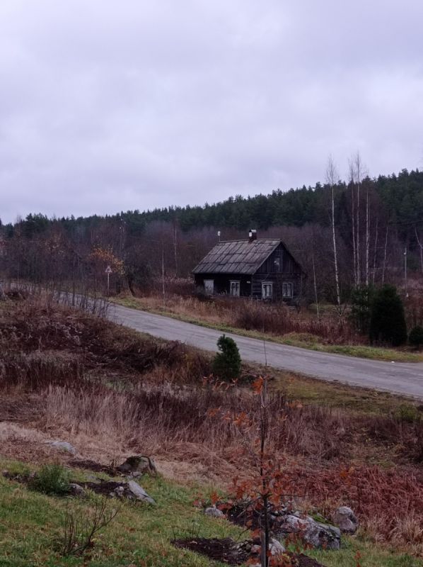 Разноцветные кофейные радости в серый февраль