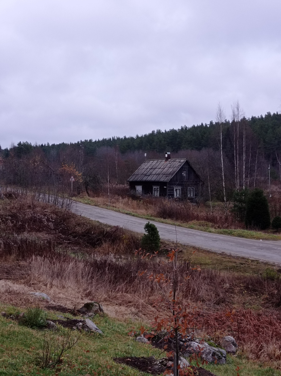 Разноцветные кофейные радости в серый февраль