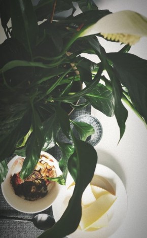 ������ ��������� ���������, ������� ����� �� ��� ���