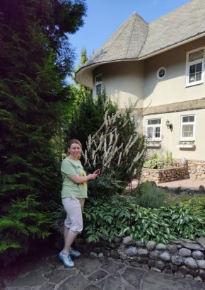 ������� ������ ���� � ������� �� �������