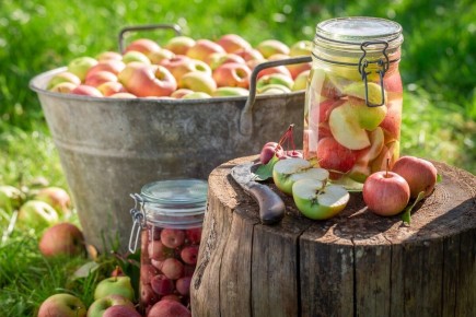 ��� ������������ ������� ������: ������������ ���� ��� �����������