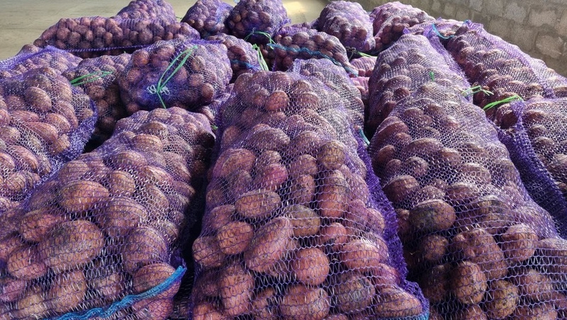 Жители Предгорного округа отправили тонну картофеля бойцам СВО