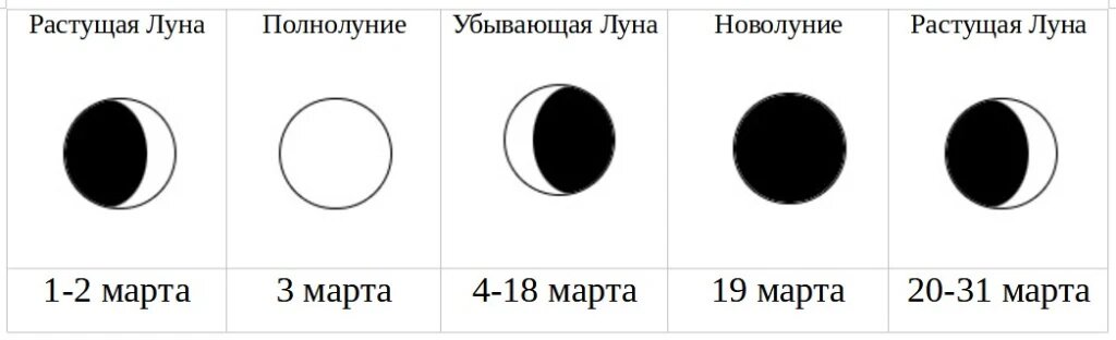 Секреты посадки помидоров в 2026 году: советы по лунному календарю