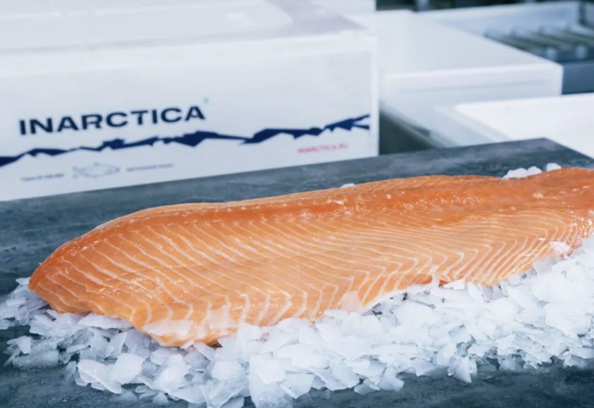 ������ ����� ����������� � ������ ��������� � ��������� � ������ ��������