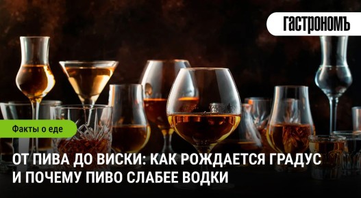 Как рождаются алкогольные напитки: от пива до виски и их крепость