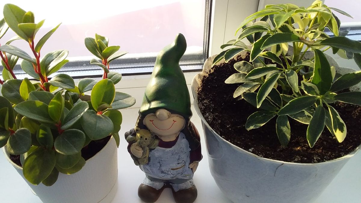 ��� ��������� ����� ��������� ��� ��� ������ � ��������