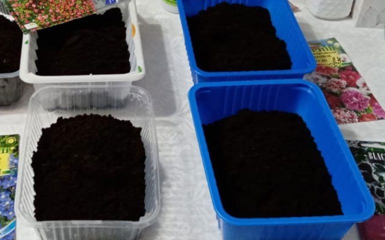 ������ ��� ��� ������ ���������� � 2026 ���� �� ������� ���������