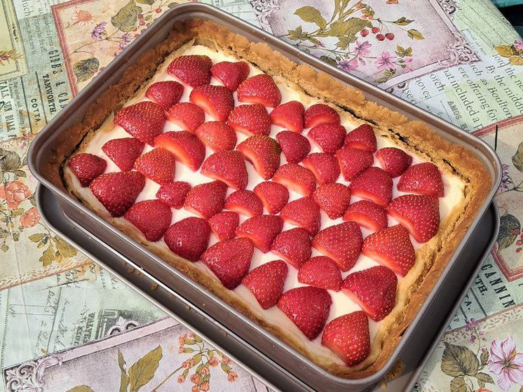 ������ ����� �������� ����� ������ ������� �������