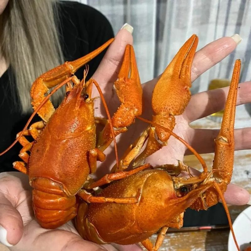 ��� ����������� ��������� ���� �� �������� �������� �������