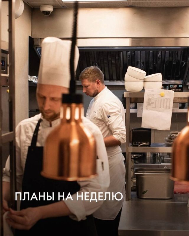 ����� ������: ����� ��� ���������������� �������� � Novikov Group