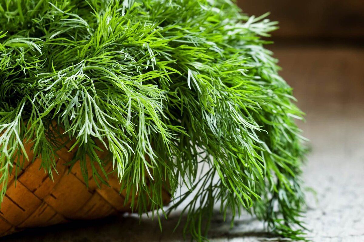 ��������� �����, ������� ���� ����� ������ �������