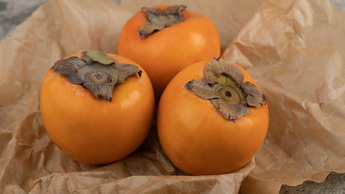 ������ �����: �������� �������� �����