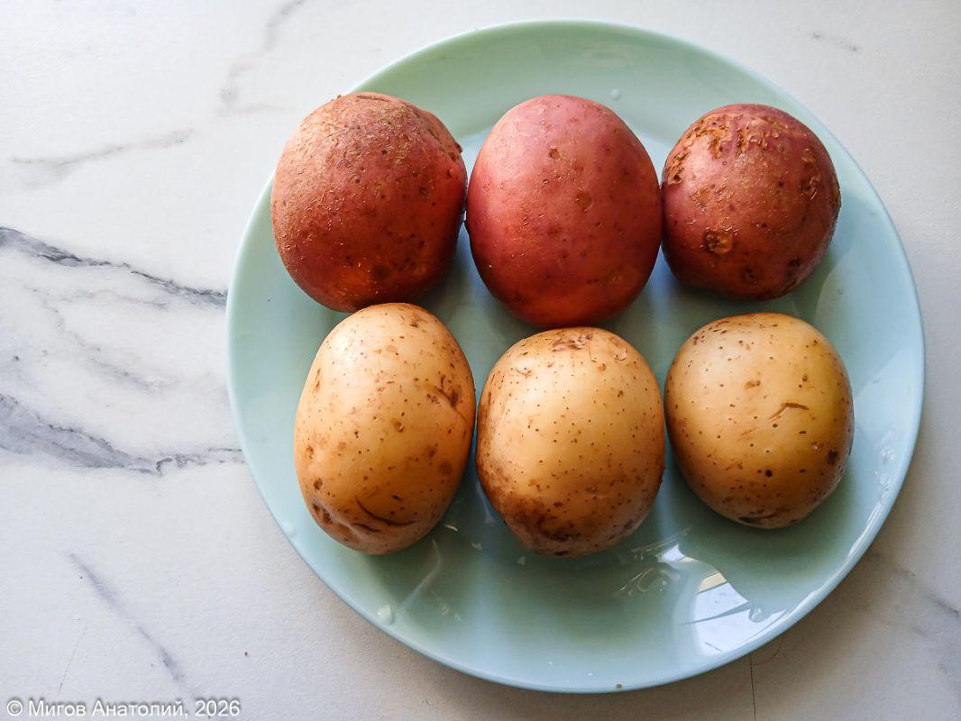 ����������� ����� ��������: ���������� � ��� ������