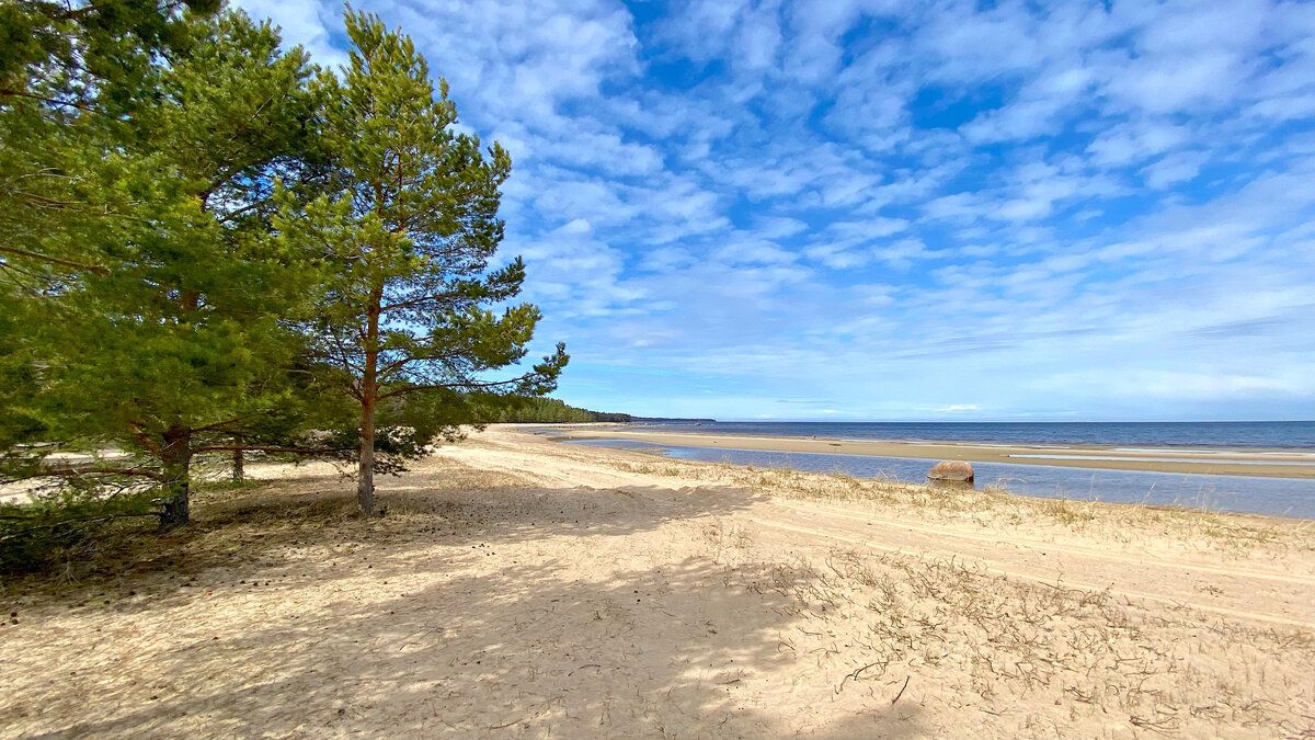 �������� ��������: �� ����� �� �����������