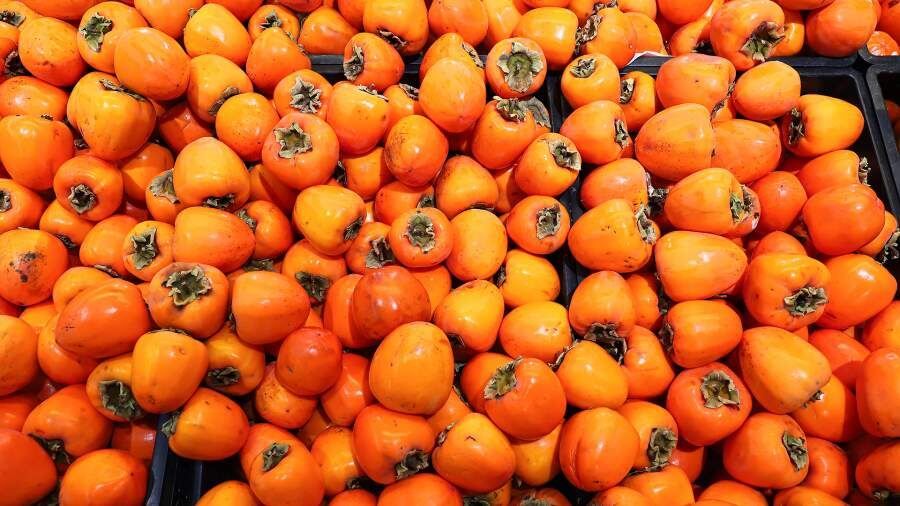 ��� ������� ������� �����: ������� ������ ������ ������ ��� �������� ��������