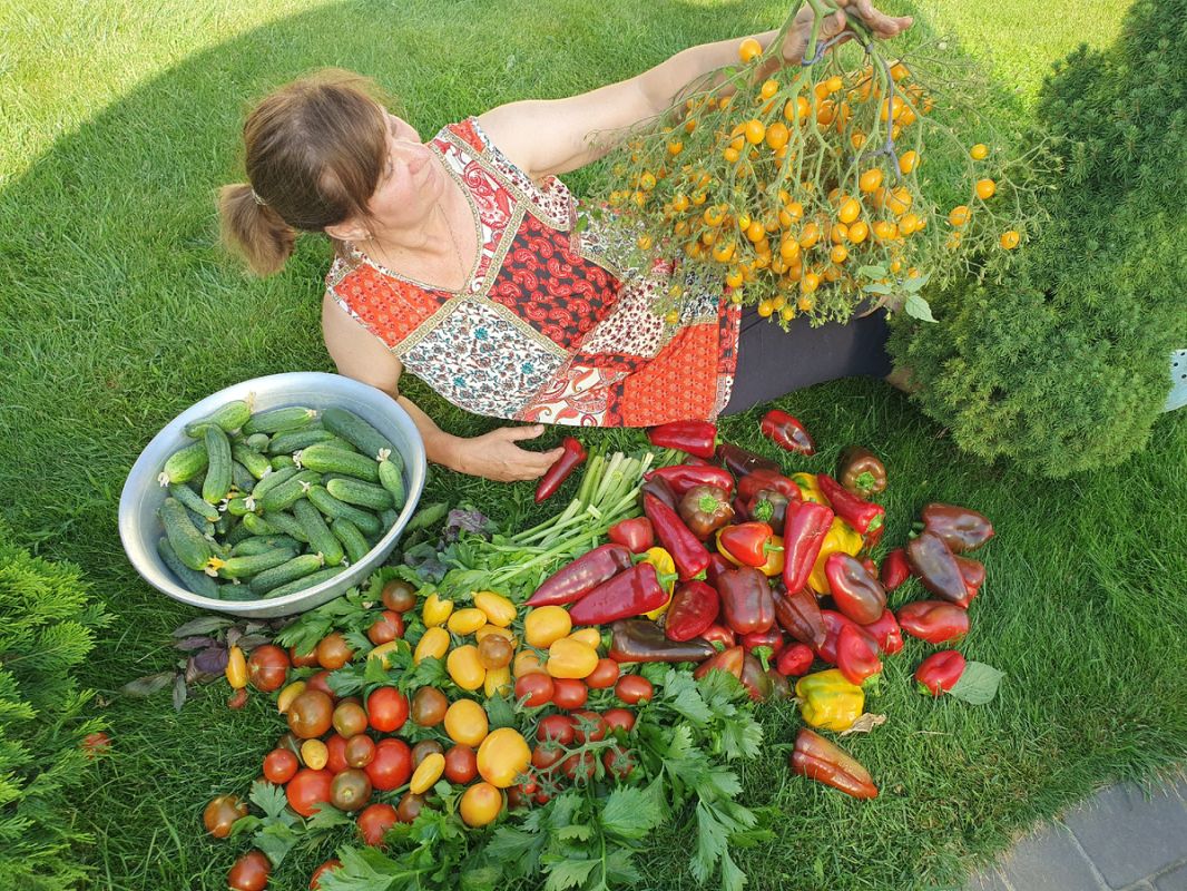 ���������� � ��� ���������