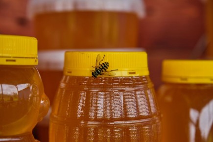 �������� �������� �����: ��� ����������� ��������� �������� � 2025 ����