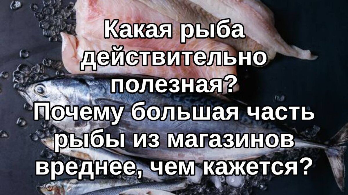 ������ ���� ����� ���� �������, ��� �������: ������ �������� �����