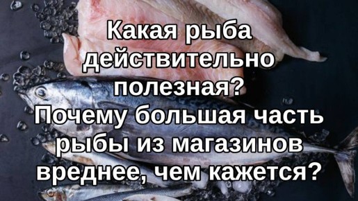 ������ ���� ����� ���� �������, ��� �������: ������ �������� �����