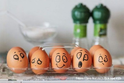 ��� ���������� ������ ���-������� ��������� ������� ����