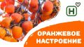 �����: ��������� ����� �����