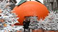На Арбате запустили мандариновое волшебство