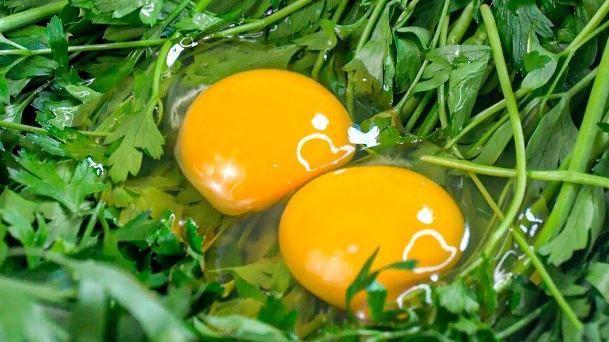 Невероятные зелёные клецки с петрушкой: простой и вкусный ужин