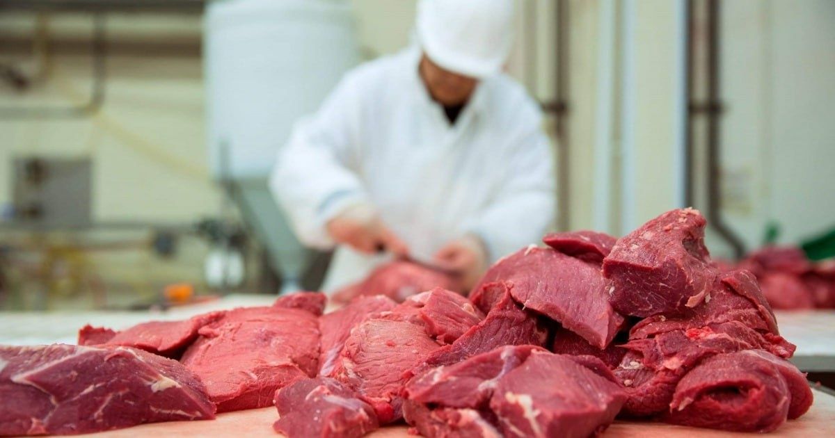 Погружение в мир мясной и кровяной муки: малоизвестные факты