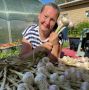 Как сохранить чеснок зимой: секреты и советы для садоводов
